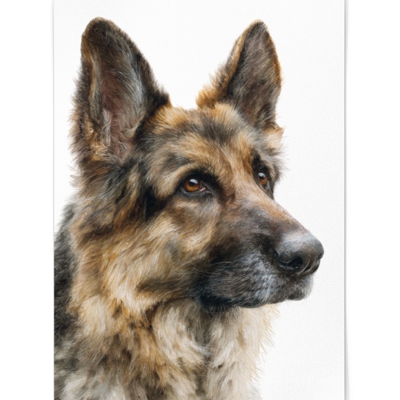 Watercolor German Shepherd Dog Portrait Wall Art Print Poster Unframed - Picture 2 of 6